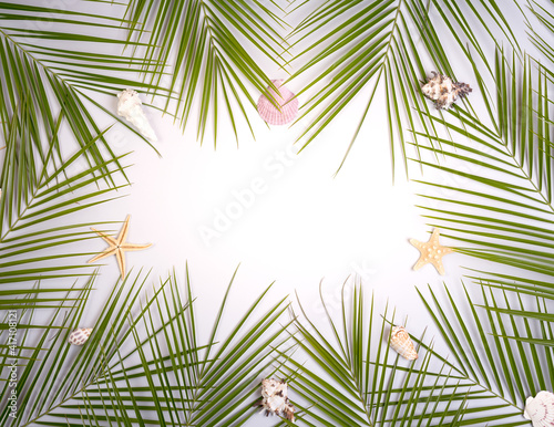 Hello Summer background with green palm leaves and seashells on a blue background with empty space for text.