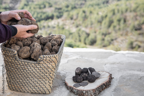 A caucasian man hold some black truffles on his hands, a  basket full of black truffles, and a wooden surface with some cleaned truffles, and a green landscape on the background.