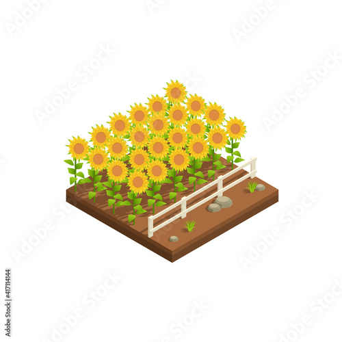 Natural Sunflower Plantation Composition