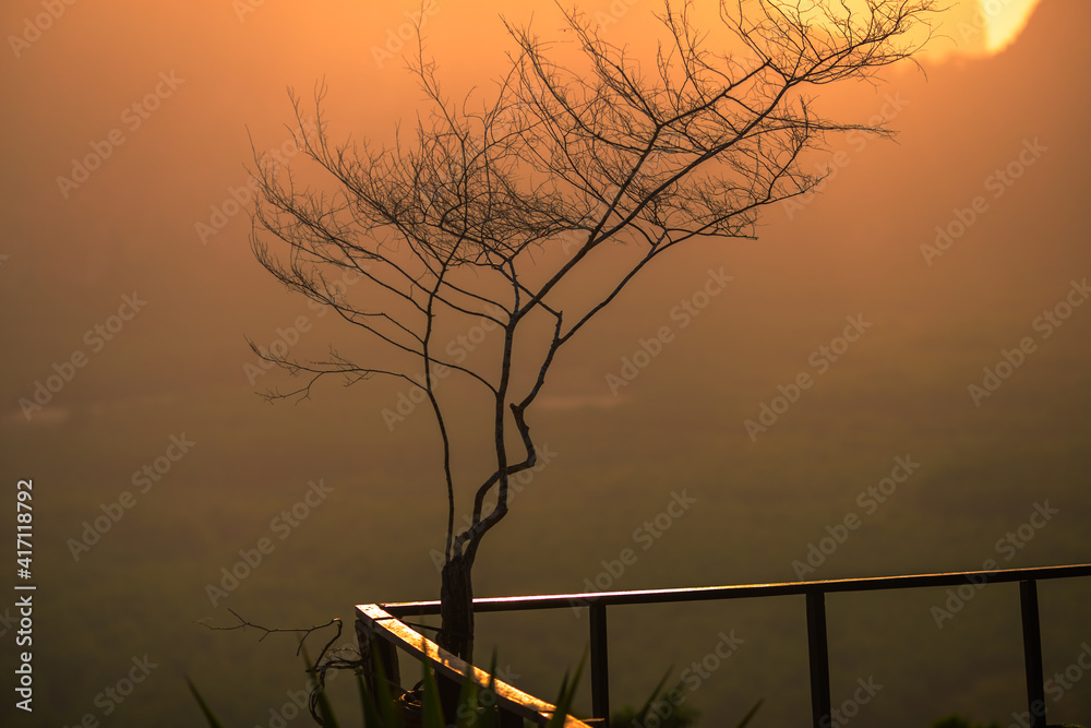 Fototapeta premium Wallpaper blurred nature of the twilight light in the evening by the large water basin surrounded by big trees, the integrity of the forest