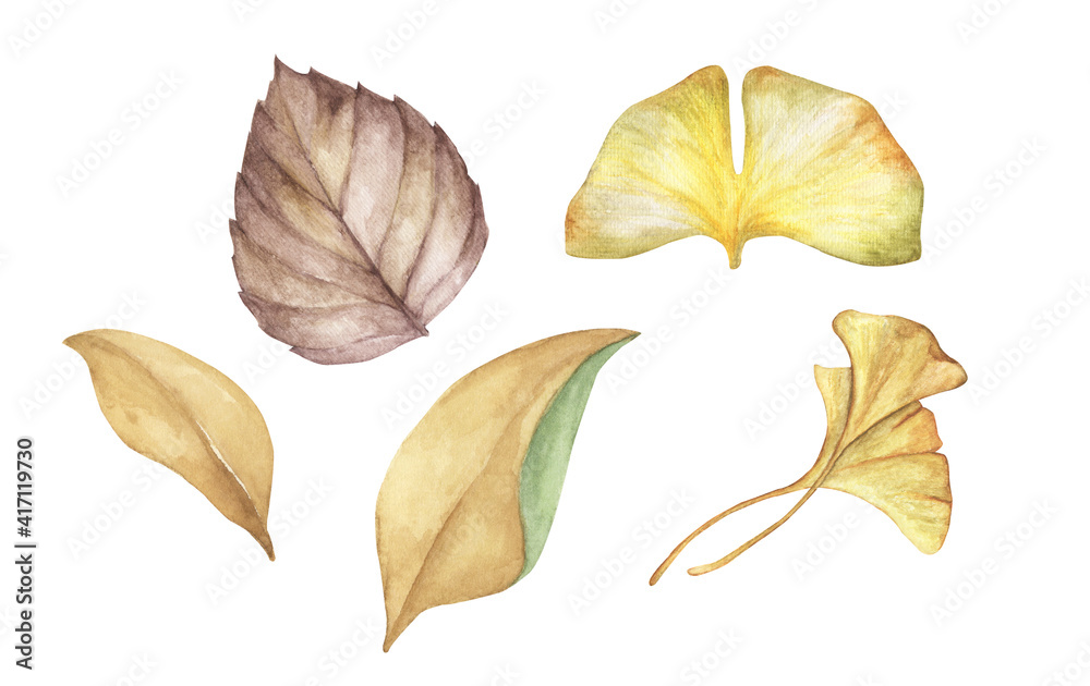 Autumn leaves set - for bouquets, wreaths, arrangements, wedding invitations, anniversary, birthday, postcards, greetings, cards. Watercolor floral illustration.