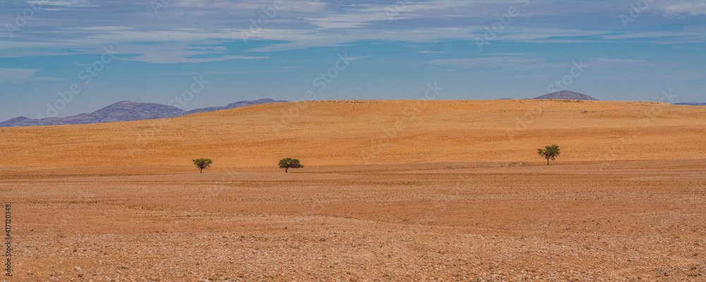 Obraz premium Landscape of Namib-Naukluft National Park is a national park of Namibia, panorama