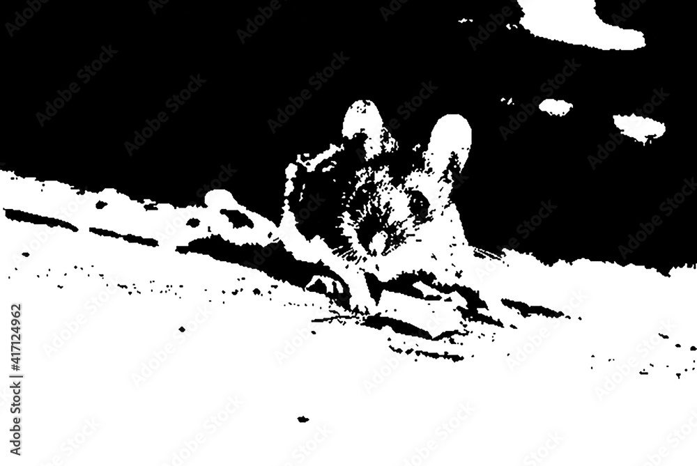 Fototapeta premium Mouse Silhouette Alpha