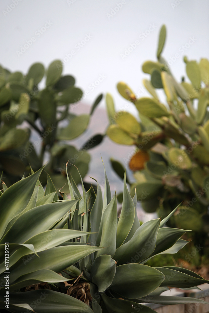 Obraz premium ITALY SICILY TAORMINA