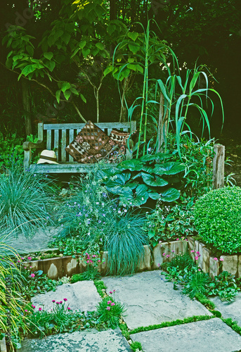 Seculded seating in small garden with plants and grasses photo