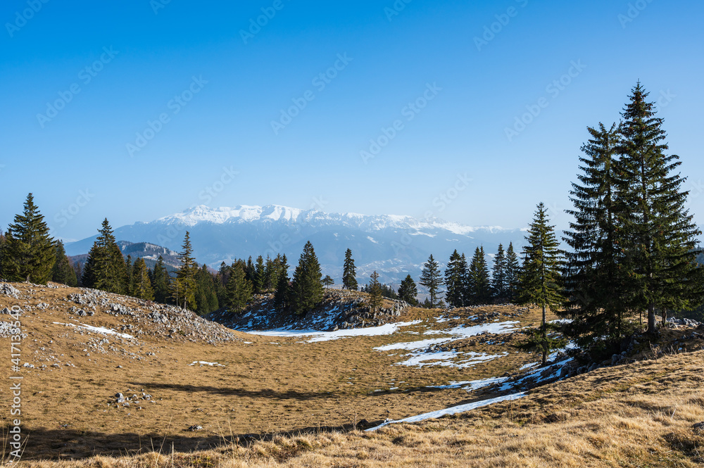 View from an alpine meadow in Piatra Craiului National Park, Romania