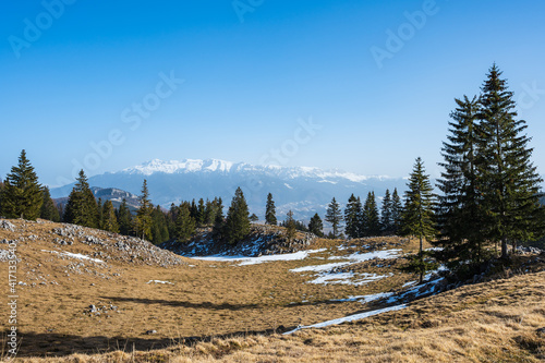 Obraz na płótnie View from an alpine meadow in Piatra Craiului National Park, Romania w salonie