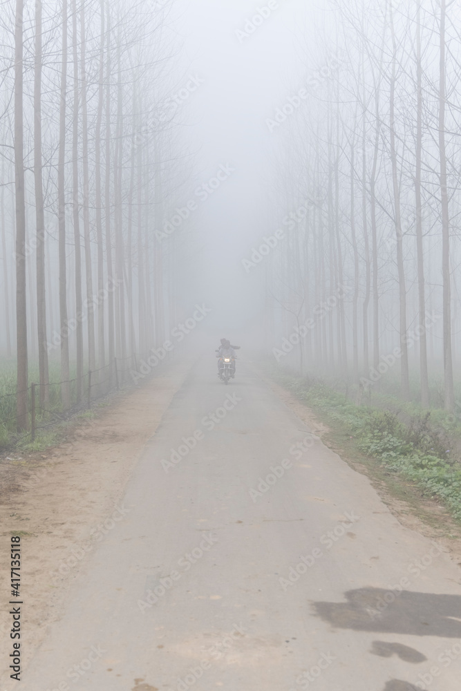 single lane road passing through agricultural fields covered by dense fog in rural india single lane road passing through agricultural fields covered by dense fog in rural india