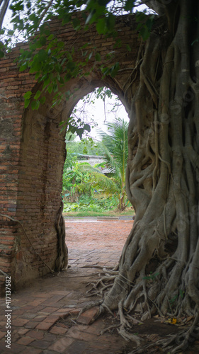 tree root was at ancient gate in Ayutthaya, Thailand