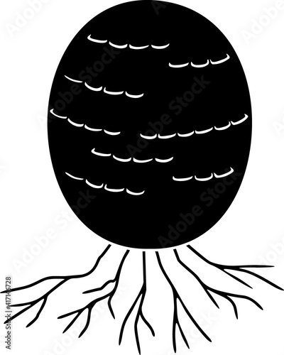 Black silhouette of immature egg stage of fruiting body of Fly agaric (Amanita muscaria) mushroom