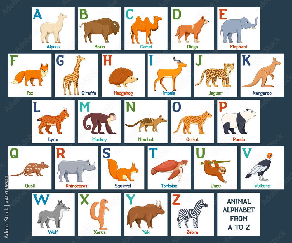 Fototapeta premium Cute Animals alphabet cards for kids education. Educational preschool learning ABC card with animal and letter. Cartoon vector illustration set