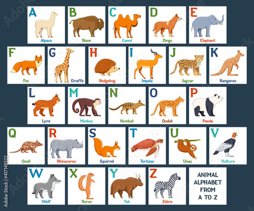 Fototapeta Naklejka Na Ścianę i Meble -  Cute Animals alphabet cards for kids education. Educational preschool learning ABC card with animal and letter. Cartoon vector illustration set