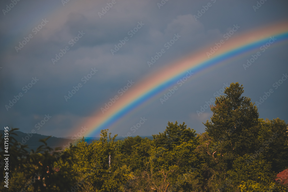 an amazingly bright rainbow formed over the forest after a summer storm an amazingly bright rainbow formed over the forest after a summer storm