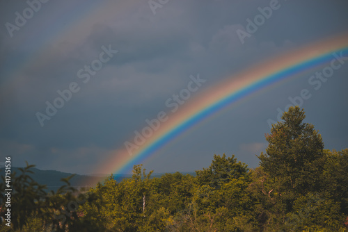 an amazingly bright rainbow formed over the forest after a summer storm