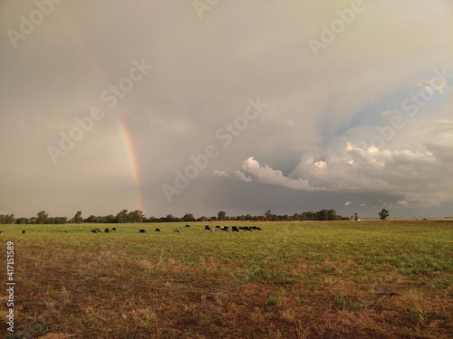 rainbow over the field 