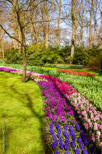 Wallpaper Mural Blooming flowering tree in local park Torontodigital.ca