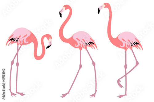 Set of pink flamingo. Flock of birds. Simple flat style.