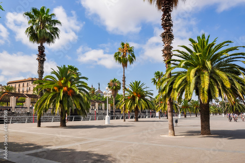 Barcelona sea promenade with palm trees, Spain © Mistervlad