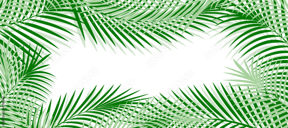 Horizontal banner with tropical leaves. Frame made of palm tree branches. Vector illustration isolated on a white background. Exotic botanical design for wedding invitations, covers, posters, cards