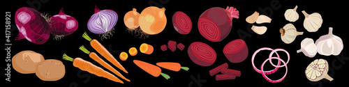 Set of miscellaneous vegetables. Whole and cut potatoes, onions, carrots, beets and garlic. Vector Illustration