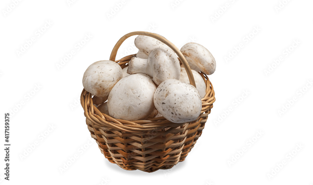 Basket with mushrooms. Champignons in a basket isolated on a white background. Basket with mushrooms. Champignons in a basket isolated on a white background.