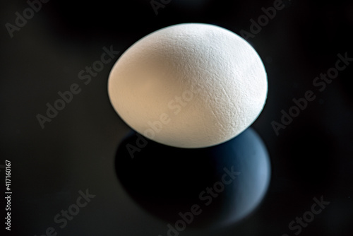 Canvas Print egg on black background, nacka, sweden, sverige, stockholm