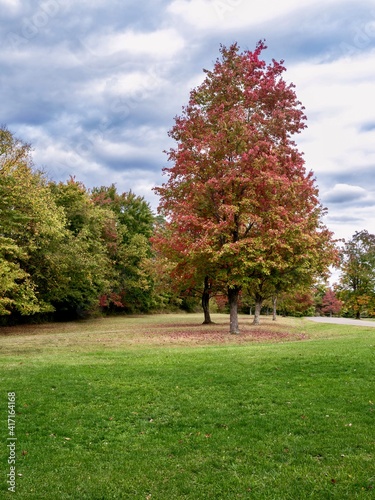 Tomlinson Run State Park in the fall in West Virginia with the fall colors and trees with grass and the blue cloud filled sky in the background and a tranquil serene nature landscape scene. photo