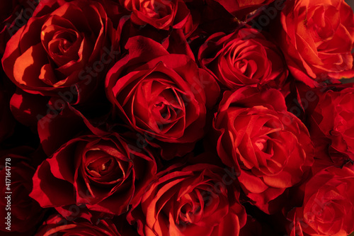 bouquet of red roses  red roses background  bunch of roses