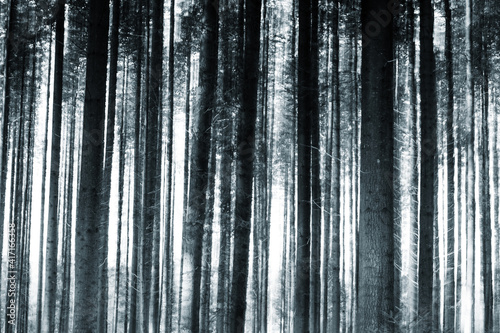 Blurred dreamy tree trunks in a motion blur in the forest