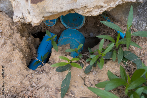 blue bird in a cave