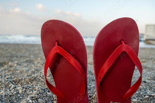 Red slipper near the sea