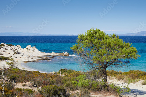 Fototapeta Naklejka Na Ścianę i Meble -  Picturesqu beach with turqloise water in Sythonia on Halkidiki peninsula, Greece