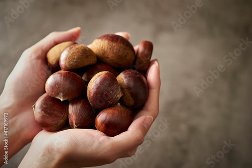 Fresh chestnuts in hand on dark background