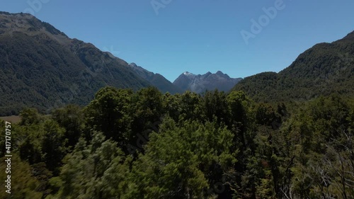 Wallpaper Mural Thick green forest near beautiful green valley with river in Fiordland Southland, New Zealand. Aerial dolly view of lush green vegetation in mountain valley Torontodigital.ca