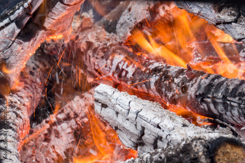 Burning wood, burning fire close-up