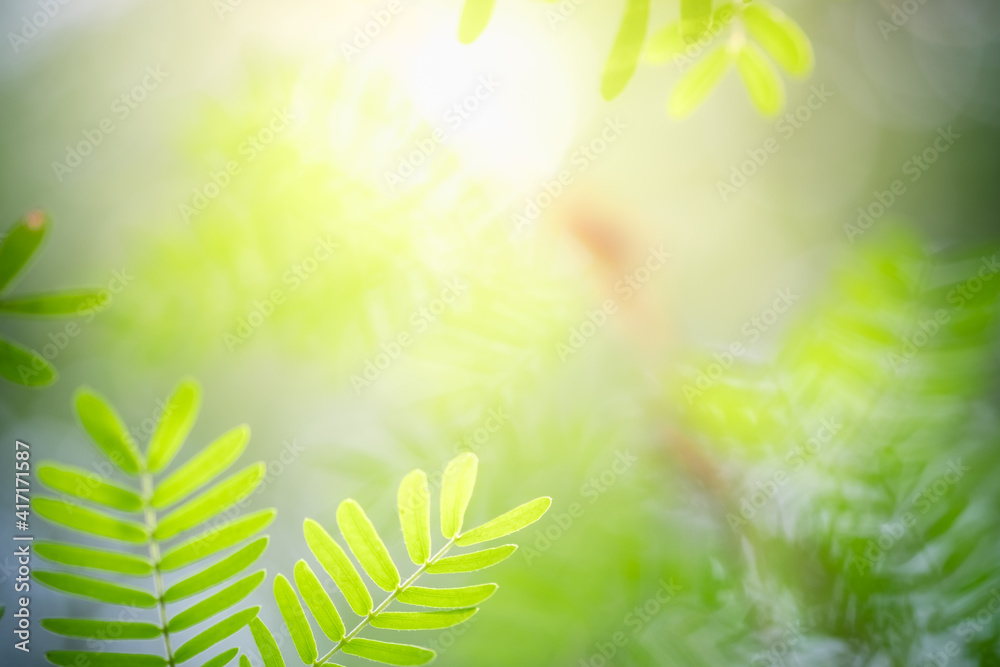 Obraz premium Concept nature view of green leaf on blurred greenery background in garden and sunlight with copy space using as background natural green plants landscape, ecology, fresh wallpaper.