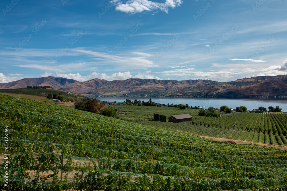 Rolling vineyard hills, Lake Chelan and the foothills of the Cascade mountains in Eastern Washington.