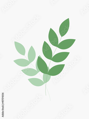 Natural patterns with leaves on a branch in soft pastel green colors. Trendy modern stylish flyer  postcard  brochure  leaflet  business card  interior decor. Vector graphics.