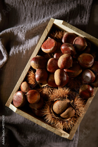 chestnut bur and fresh chestnuts