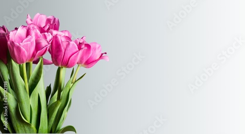 Quadro em tela Background.