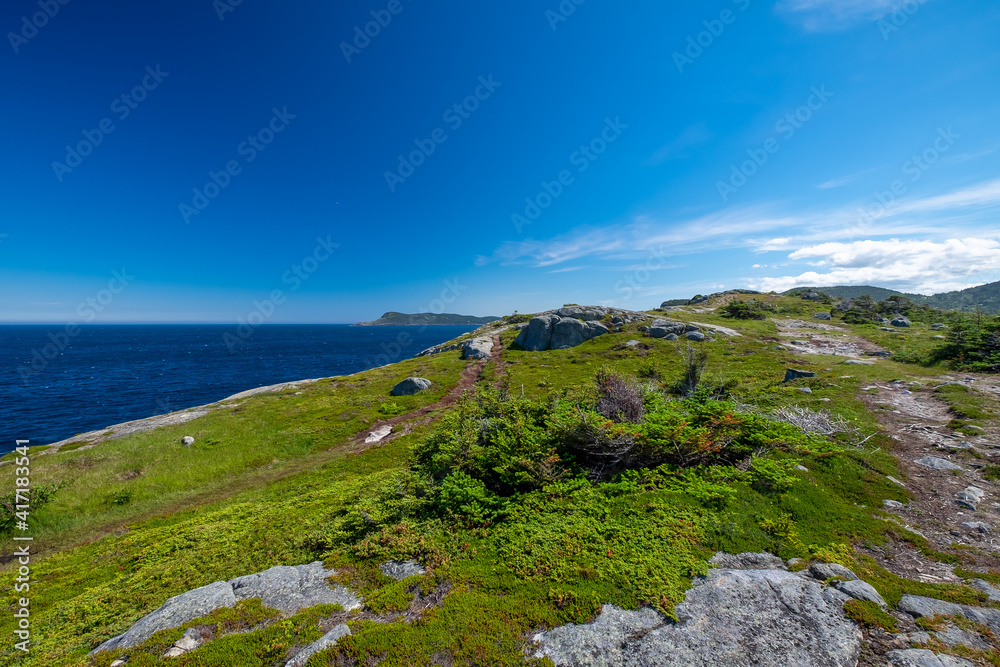 An upward view of a bright blue sky. There's a rocky vibrant green colour hill covered in green shrubs, moss and lichen coverings. The mountain ridge is rough terrain with green ground coverings. 