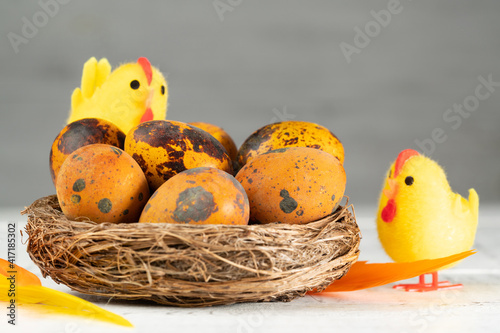 Easter quail eggs in a nest decorated with feathers and toy chicks. Easter holiday concept. Close up, copy space, selective focus