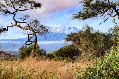 view of kilimandjaro mount