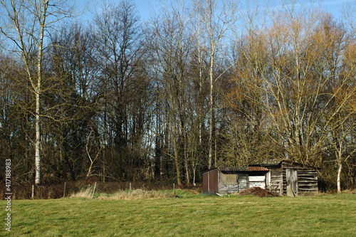 Small old wooden shed surrounded by grass and forest. Construction with wood and junk materials. Roof with asbestos.