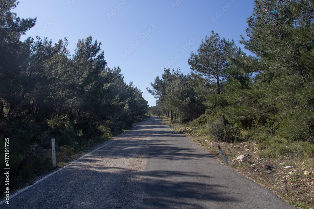 a narrow country road surrounded by trees, landscape mode. The concept of traveling and going away
