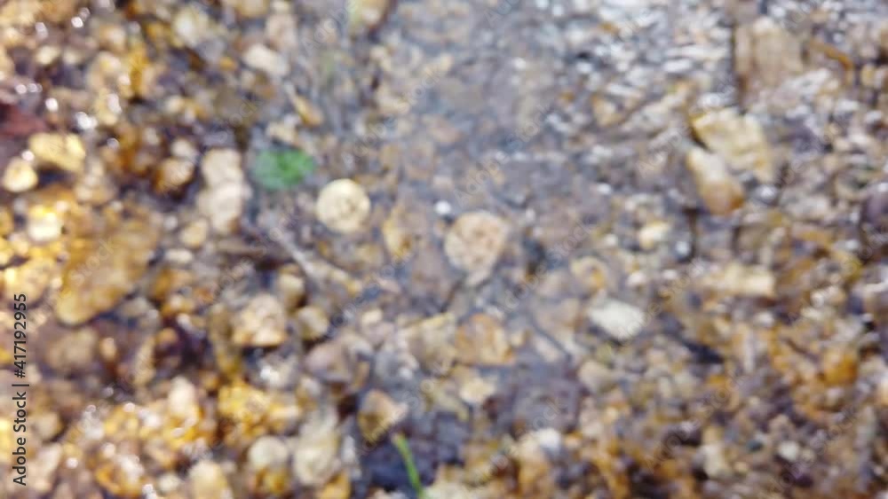 BITCOIN GOLD FOUND IN RIVER STREAM. ZOOMING IN SHOT. BITCOIN GOLD FOUND IN RIVER STREAM. ZOOMING IN SHOT.