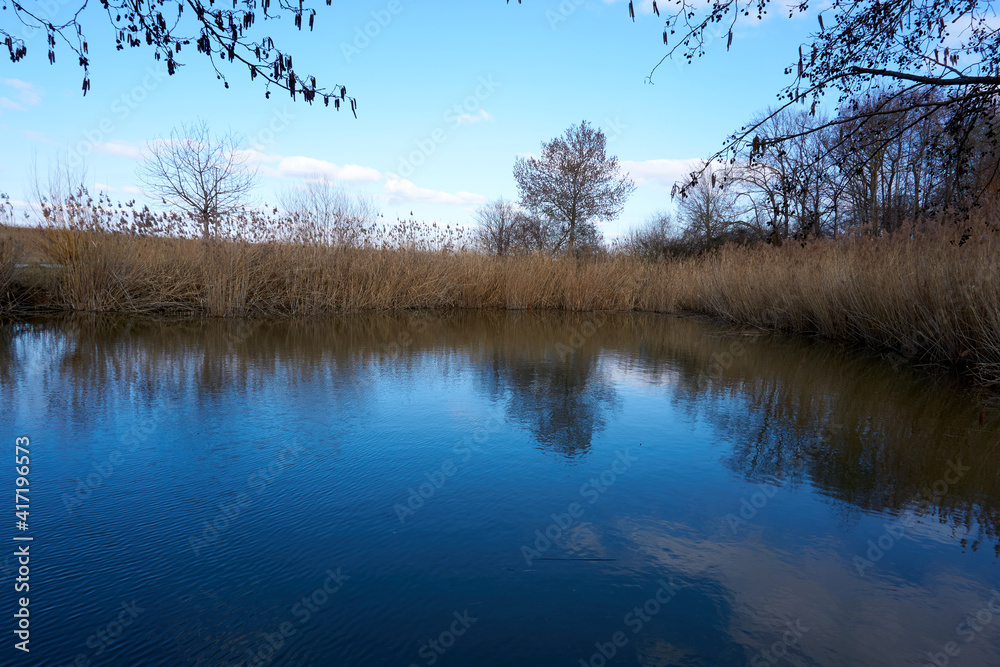 quiet river landscape with trees under a blue sky quiet river landscape with trees under a blue sky