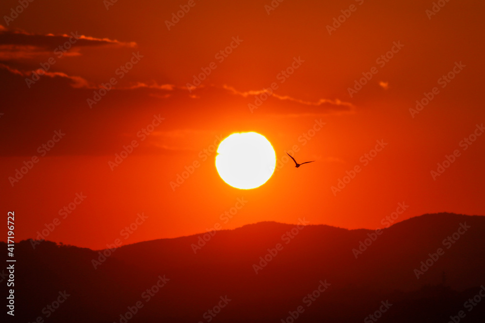 sunset over the mountains and silhouette of a bird flying