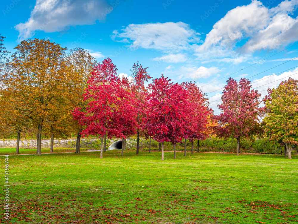 Naklejka premium Couleurs d'automne