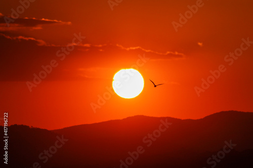 sunset over the mountains and silhouette of a bird flying